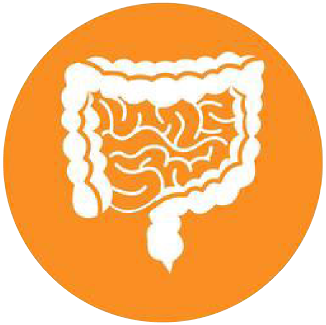 關注職場“腸”態，守護員工健康——上海格瑞特特邀消化內科專家公益系列講座（4）(圖4)